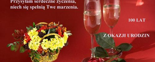 Dzień misia galeria